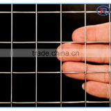 galvanized steel wire mesh ,square wire mesh ,PVC coated welded mesh