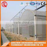 Agriculture Farming/equipment Greenhouse Plastic Film for Plant Vegetable and Flowers Made in China thumbnail-5