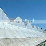 Thin Film in Greenhouse for Agricultural thumbnail-1
