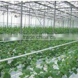 China Direct Selling Beautiful High Quality Venlo Greenhouse Can be Used to Planting Grows thumbnail-2