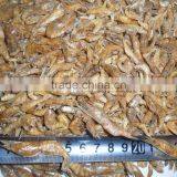 Nutrient Freshwater Sun Dried Shrimp // Fish Food Dried Shrimp thumbnail-3