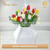 Factory Price Polyester Grow Bags,home Lantern Garden Plant Grow Bag thumbnail-1