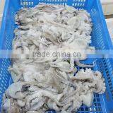 Frozen Octopus Ocellatus Flower Type thumbnail-3