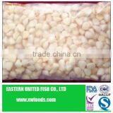 Dried Frozen Scallops thumbnail-1