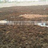 Gracilaria, Euchema Spinosum And Cottoni Seaweeds thumbnail-5