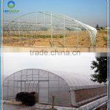 Cheap Durable Plastic Film Greenhouse Tunnel for Sale thumbnail-1