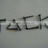 Shoe Tack Nails thumbnail-1