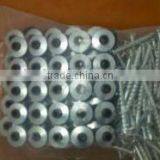 Galvanized Roof Screw Nail With Plastic Cap thumbnail-5