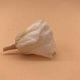 Timeless Moments Flowers Preservation for Anniversary Decoration thumbnail-4