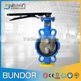 Manual Api Standard Wafer Type Double Stem Butterfly Valve Manufacturers thumbnail-1