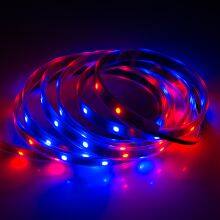 Chinese Manufacturer UCS1903 LC8806 LED Strip Light thumbnail-2