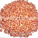 Peanut Bagger With Sewing Machine and Conveyor thumbnail-3