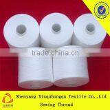 T30s/2 China Good Quality 100% Yizheng Polyester Sewing Thread Wholesale and Notions thumbnail-2