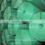 1.2M/1 Inch Pvc Coated Welded Wire Mesh From Large Supplier