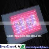 Great for Herb! EverGrow 300W Led Herbal Plant Grow Light EG-288*1W-GP3-SXB