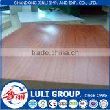 LULI Group Coloured Mdf thumbnail-3