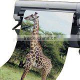 Large Format Advertising Posters