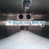 20T Plate Ice Machine+20T Ice Storage thumbnail-2