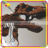 KANO2196 Museum Standard Artificial Life Size Animal Skeleton thumbnail-5