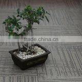 Simple Color UV Coating Vinyl Flooring Pvc thumbnail-4