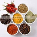 Spices hot quality Vietnam