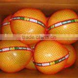 2015 Crop Fresh Honey Pomelo Pack 15kg Fruit Carton Box