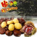 Best Quality and Price Raw Chestnuts From China thumbnail-6