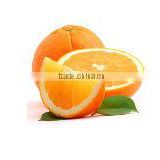 fictional Valanica Orange best quality good price