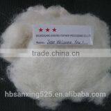 100% WHITE COMBED SCOURED SHEEP CASHMERE 19.5-22.5MIC, 30-40MM, BEST QUALITY thumbnail-1