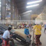 VIETNAM WASHED ARABICA COFFEE BEANS thumbnail-5