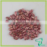 Red Speckled Kidney Beans FOB Dalian Price