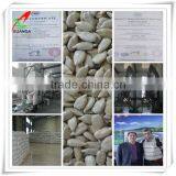 Sunflower Seed Kernels Bakery American Goods thumbnail-1