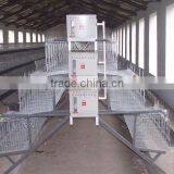 layer poultry cages for nigeria/africa