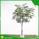Large Outdoor and Indoor Decorative Imitation Artificial Ficus Tree thumbnail-1