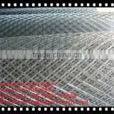 Stainless Steel Wire Protecting Screen Mesh Expanded Metal Mesh(ISO9001)