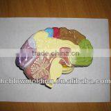 OEM Blow Molding Mini Plastic Toy Modes Plastic Toy Green Trees thumbnail-4