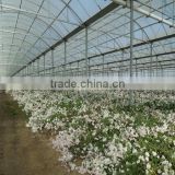 Poly tunnel greenhouse single span greenhouse tunnel greenhouse for sale