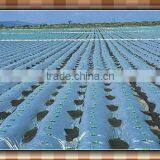 Agricultural Poly Film for Mulching thumbnail-1