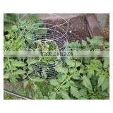 Tomato Spiral Rod thumbnail-1