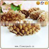 Pine Nuts Series of Natural Flowered Bark Engraving thumbnail-1