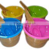 Set of 4pc Plastic ice cream serving bowls with spoons