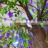 Wedding Decorative Artificial Wisteria Flower Tree for Sale thumbnail-3