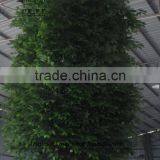 Artificial Banyan Tree for Decoration,fake Banyan Tree thumbnail-2