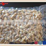 IQF Cooked Baby Clam Meat Frozen thumbnail-3