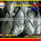 W/R FROZEN LESSER BREAM POMFRET thumbnail-1
