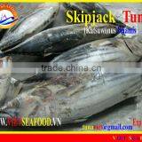 W/R FROZEN SKIPJACK TUNA thumbnail-1