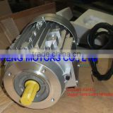 IE2 Low Terminal Box AC 3 Phase Electric Motor