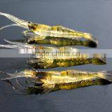 High Quality Fishing Bait Noctilucent Fishing Bait Artificial Fishing Bait Wholesale thumbnail-5