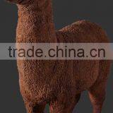 Alpaca thumbnail-1