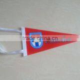 Heat Printing Triangle Flag thumbnail-2